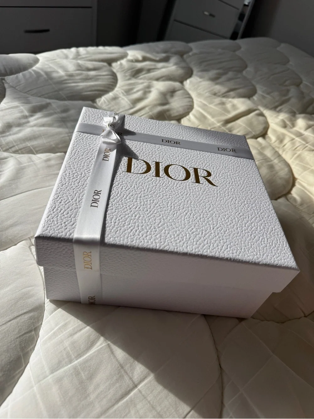 Dior luxurious presentation